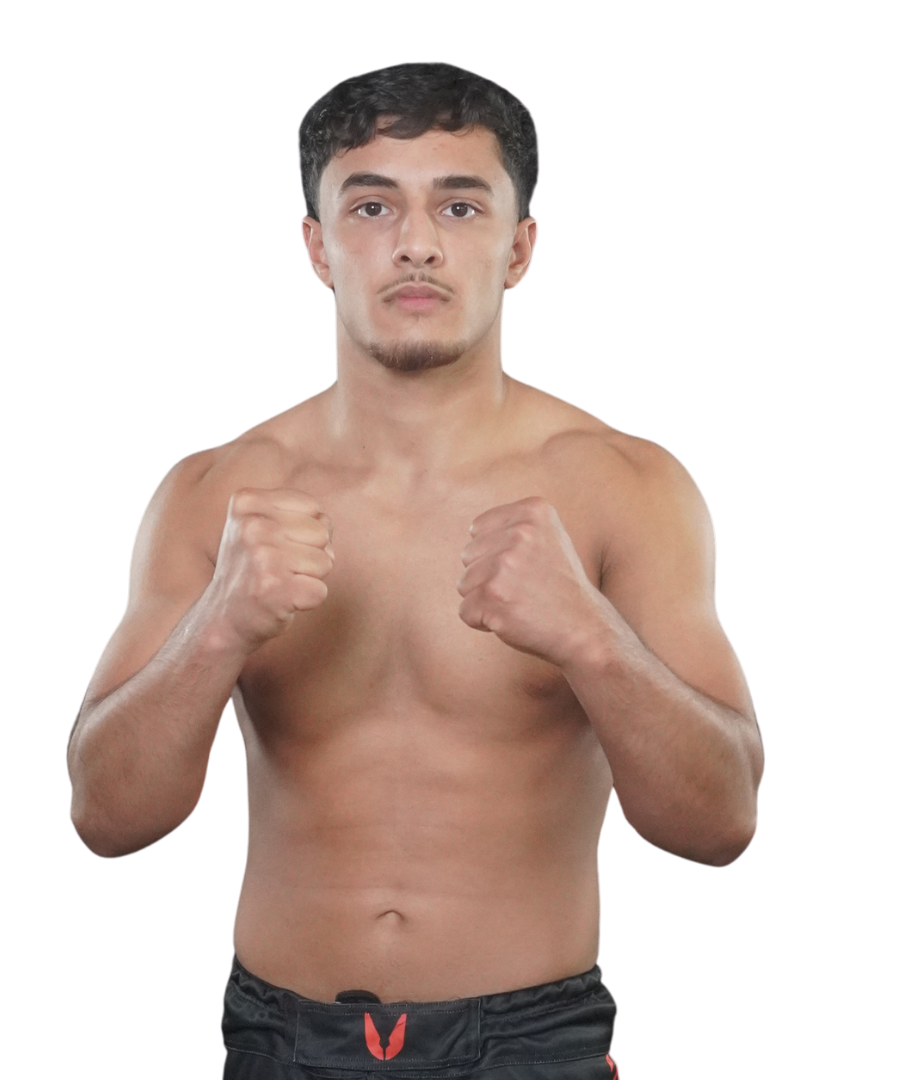 Hamza Alnemer