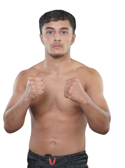 Hamza Alnemer